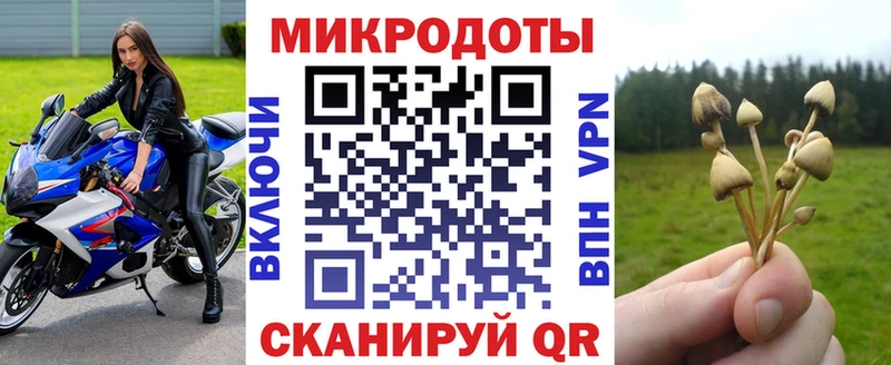 Псилоцибиновые грибы Cubensis  Купить где  Новоуральск 